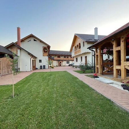 Pensiunea Valea Muntelui Birsana Exterior photo